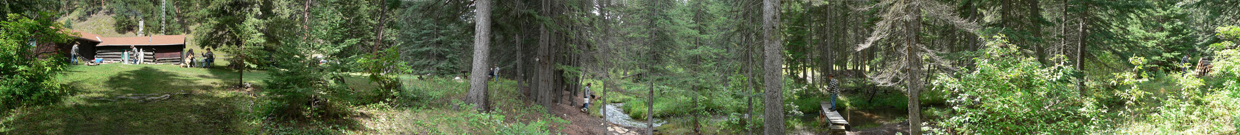 boz mowing, painting, fishing, chopping wood at Black Fox cabin