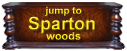 WOOD Sparton Radios button