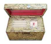 Algene snakeskin vanity case radio